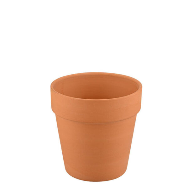 2.5'' Terracotta Pot - Image 2