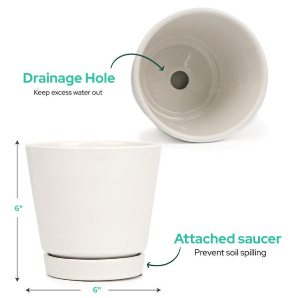 6 inch Gray Minimalist Pot with Saucer - Image 3