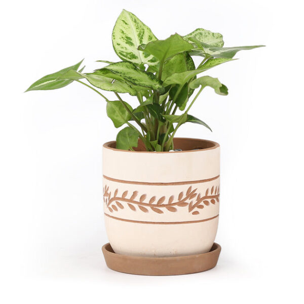 White Clay Horizontal Leaf Pattern Pot - Image 5