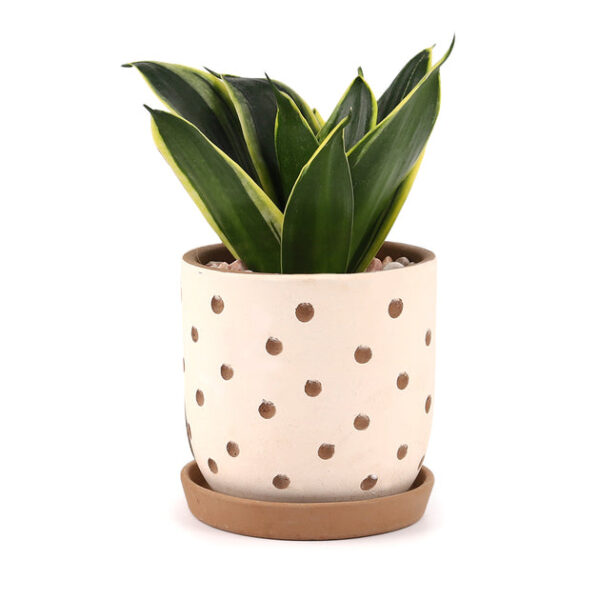 Clay White Polka Dot Pattern Pot - Image 3