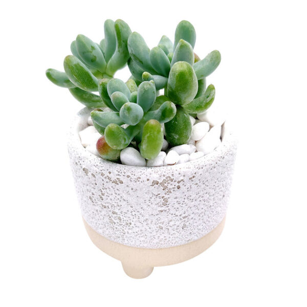 2 inch Footed Pot - Image 3