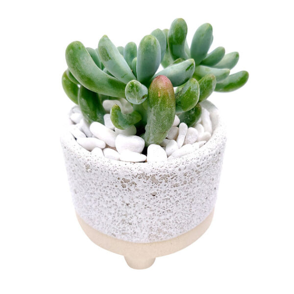 2 inch Footed Pot - Image 4