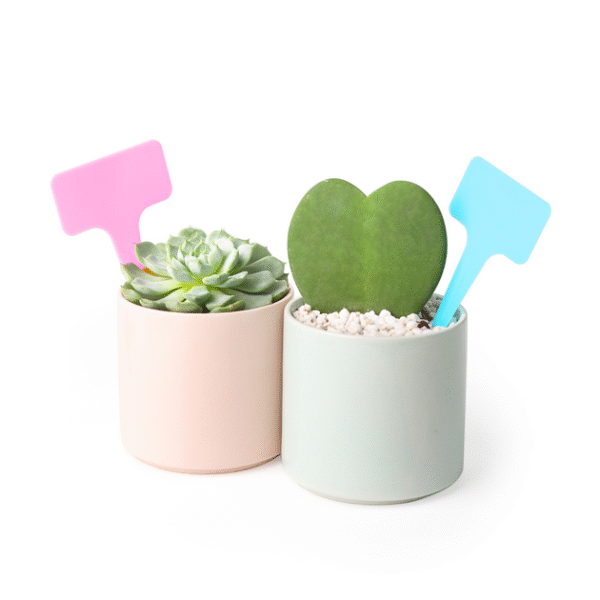 10 Plant Tags - Image 2