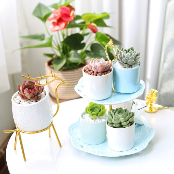 White Modern Cylinder Pot - Image 9