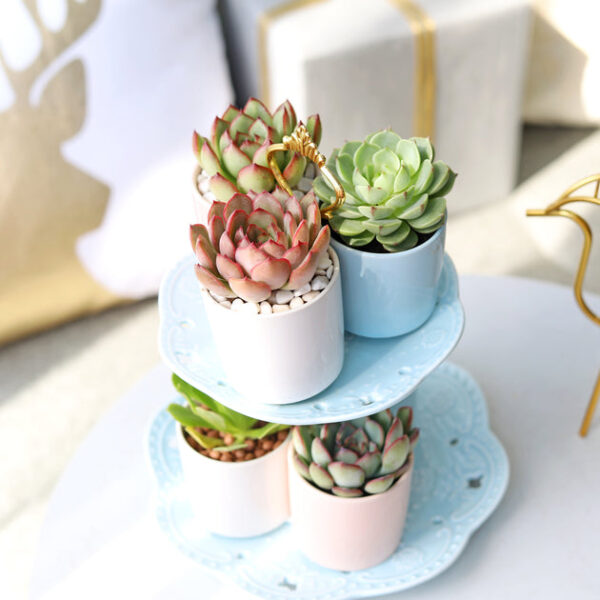 3 Pack Modern Cylinder Pots - Image 3