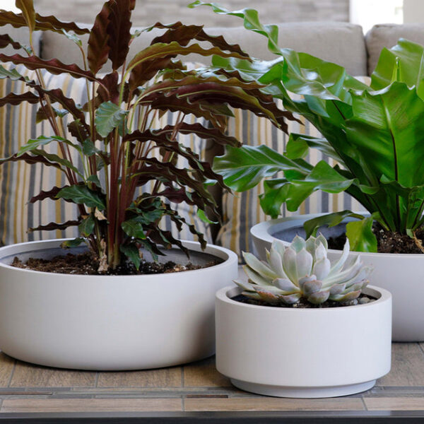 8.75 inch Gray Cream Fiberstone Ceramic Pot - Image 7