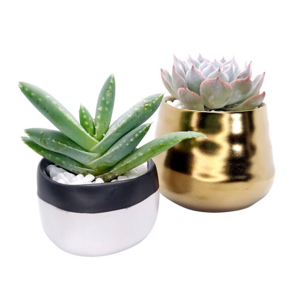 Gold Pot - Image 5