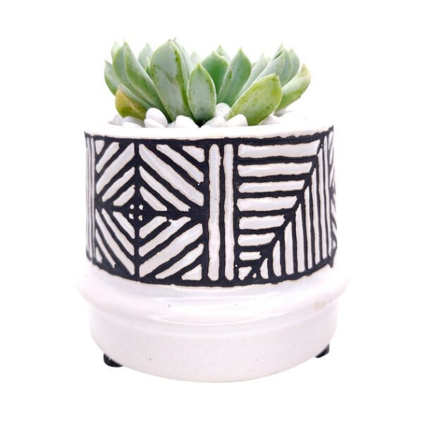 Tribal Pot - Image 7