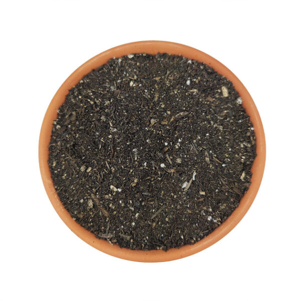Houseplant Potting Soil - Image 2