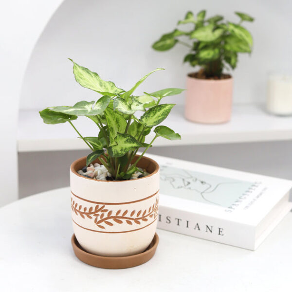 White Clay Horizontal Leaf Pattern Pot - Image 2