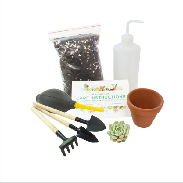 Beginner Kit (tools + 2" plant) - Image 3