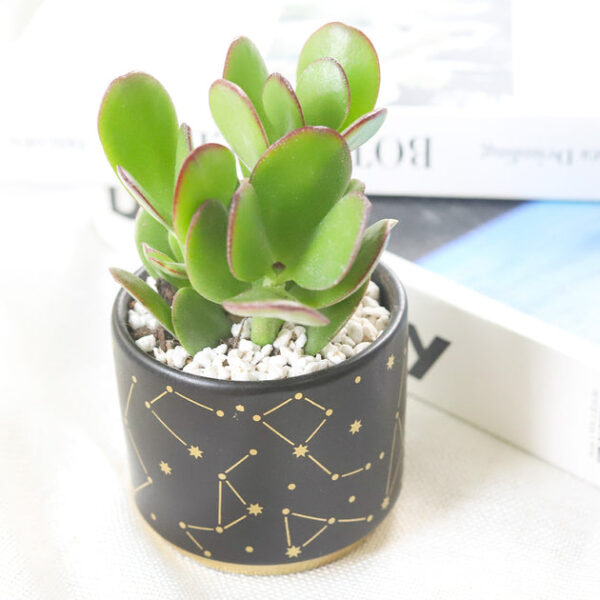 Celestial Pot - Image 2