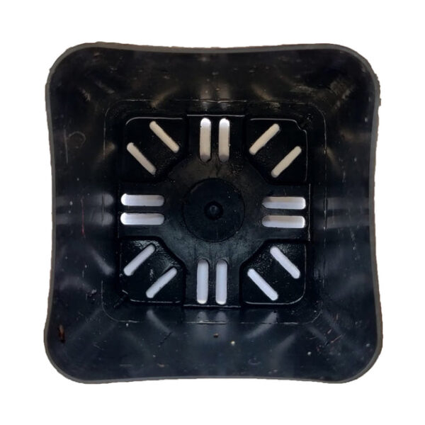 2.5 Inch Square Plastic Pots (Black Color) - Image 2