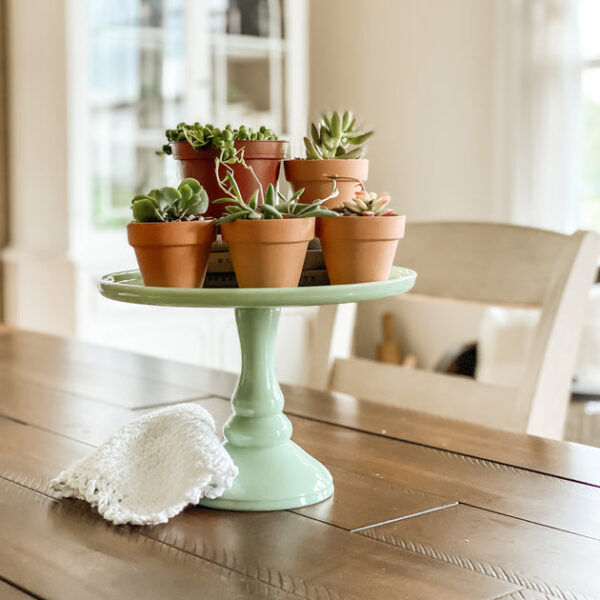 2.5'' Terracotta Pot - Image 7
