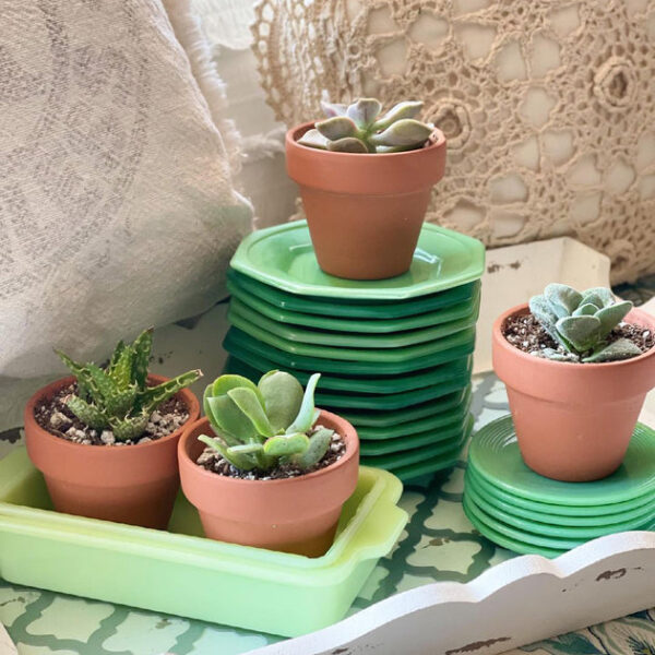 2.5'' Terracotta Pot - Image 9