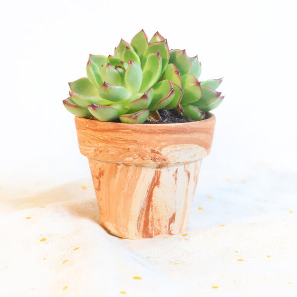 Marble 2.5'' Terracotta Pot - Image 2