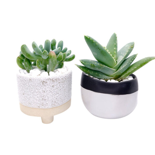 2 inch Footed Pot - Image 6