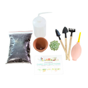 Beginner Kit (tools + 2" plant)