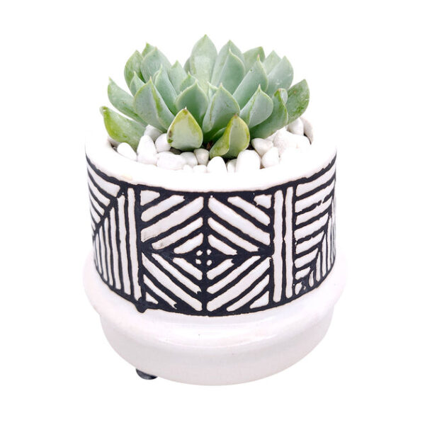 Tribal Pot - Image 4