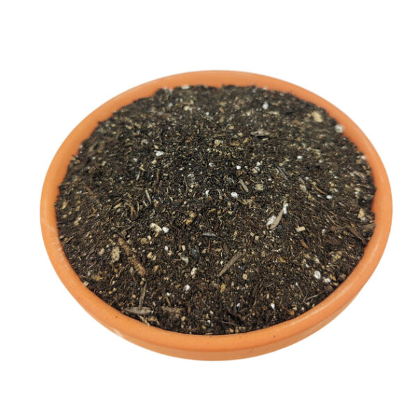Houseplant Potting Soil - Image 3