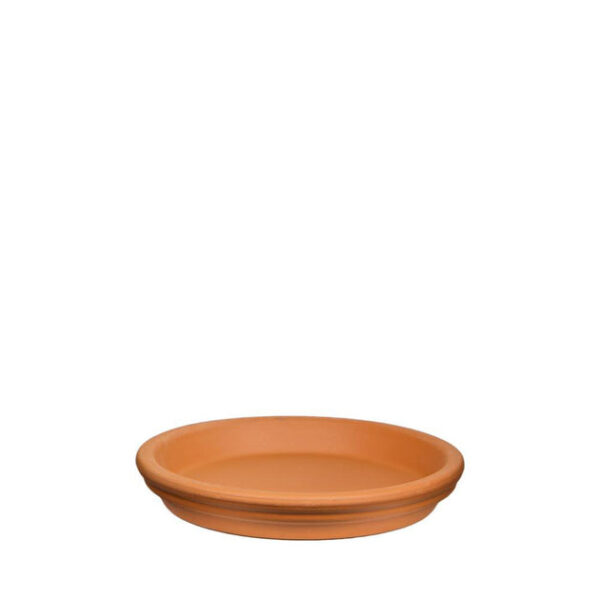 2.5'' Terracotta Pot - Image 3