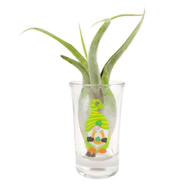 St. Patrick's Day Airplant Holder - Image 7