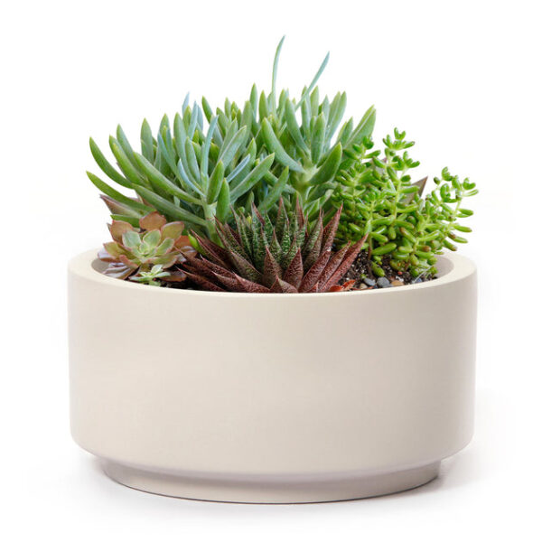7 inch Gray Cream Fiberstone Ceramic Pot - Image 5