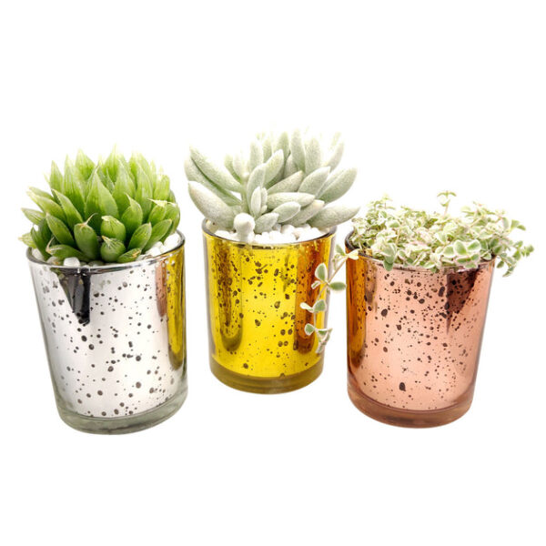Gold Sparkly Pot - Image 3