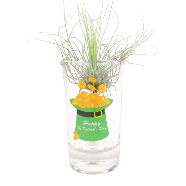 St. Patrick's Day Airplant Holder - Image 3