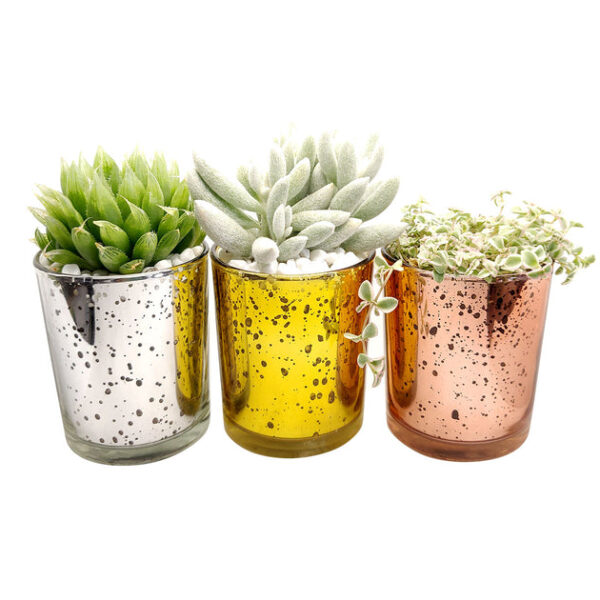 Gold Sparkly Pot - Image 4