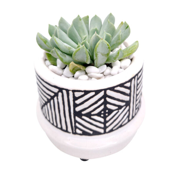 Tribal Pot - Image 5