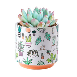 Houseplant Pattern Pot