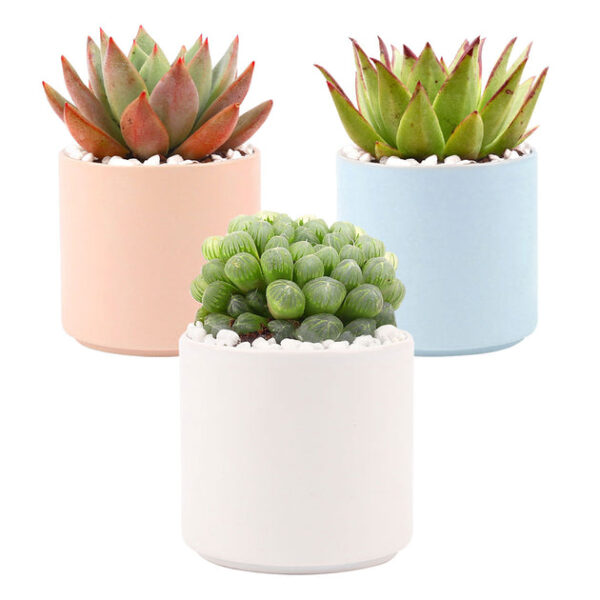 3 Pack Modern Cylinder Pots - Image 2
