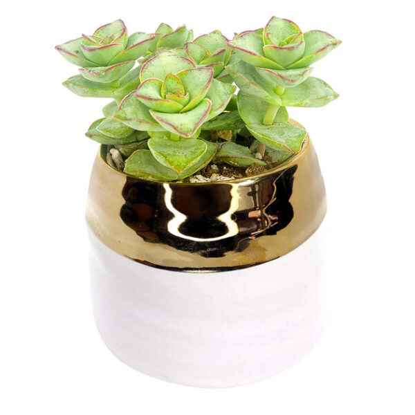 White Gold Pot - Image 3
