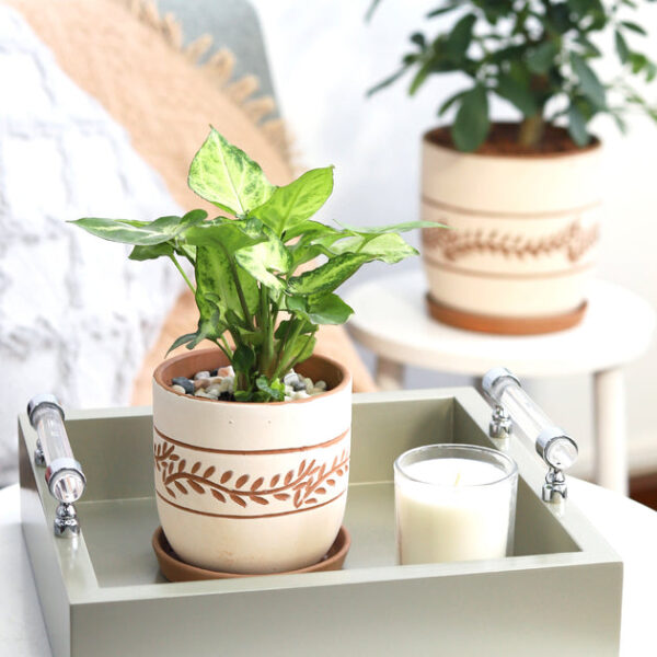 White Clay Horizontal Leaf Pattern Pot - Image 3
