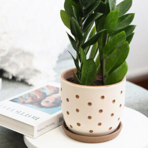 Clay White Polka Dot Pattern Pot