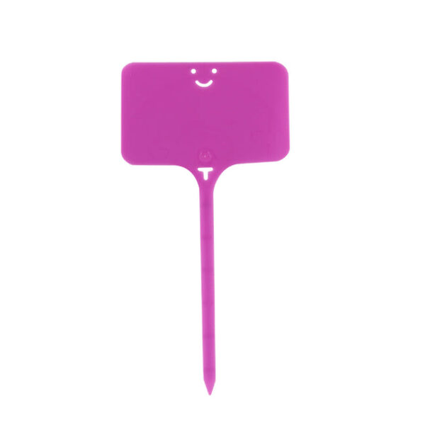 10 Smiley Face Plant Labels - Image 9