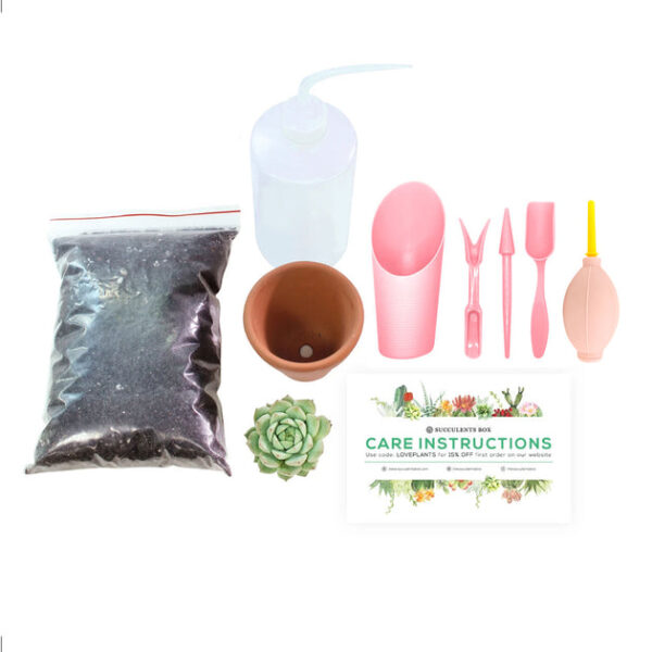 Beginner Kit (tools + 2" plant) - Image 4