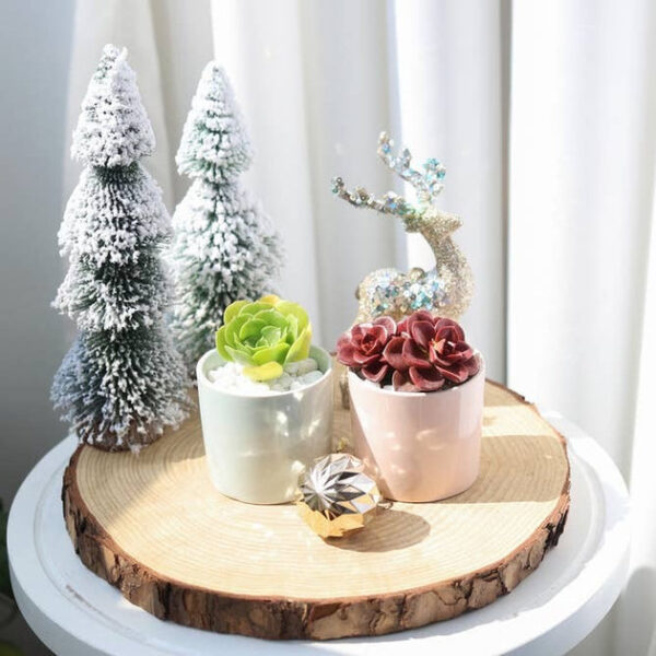 Coral Modern Cylinder Pot - Image 3