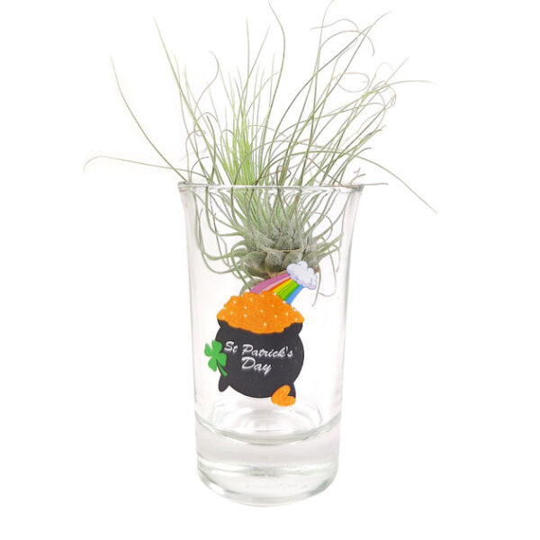 St. Patrick's Day Airplant Holder - Image 4