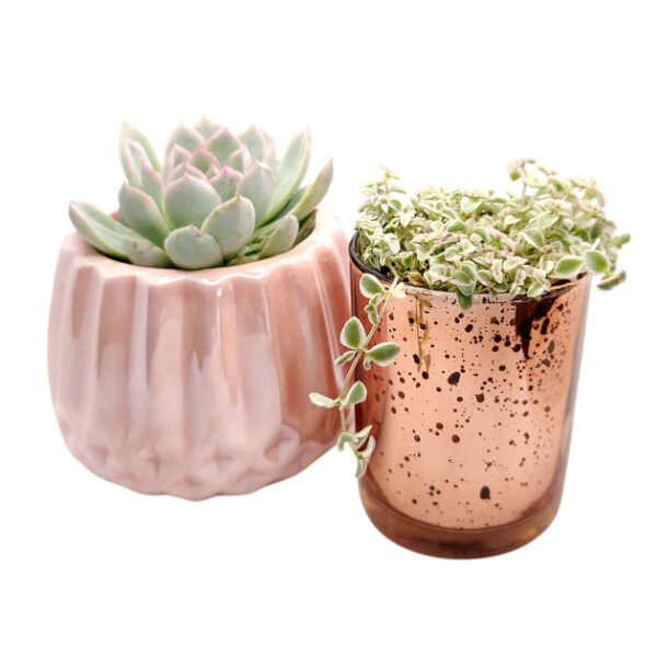 Pink Sparkly Pot - Image 5