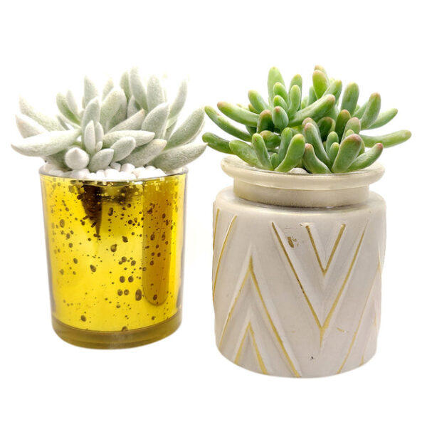 Gold Sparkly Pot - Image 5