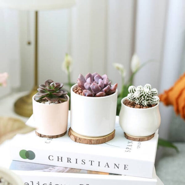 White Modern Cylinder Pot - Image 7