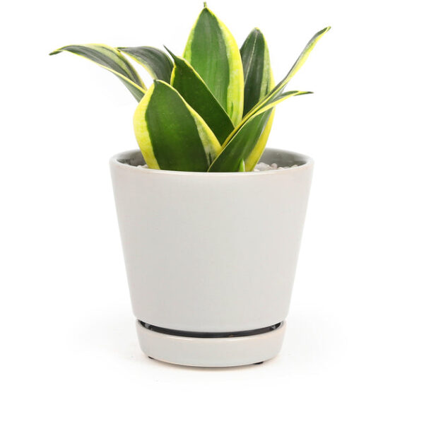 4 inch Gray Minimalist Pot with Saucer - Image 3