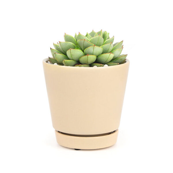 4 inch Oatmeal Minimalist Pot with Saucer - Image 6