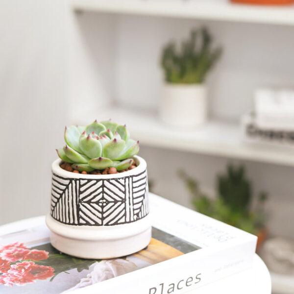 Tribal Pot - Image 8