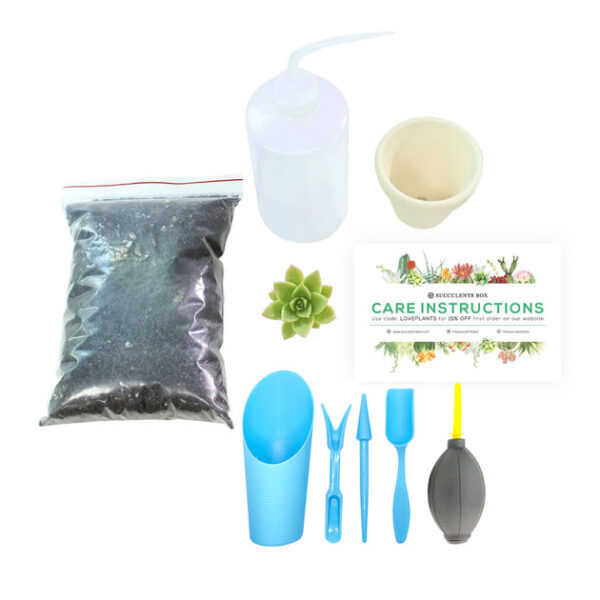 Beginner Kit (tools + 2" plant) - Image 2