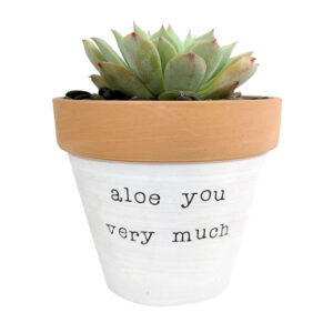 Aloe You Very Much Planter