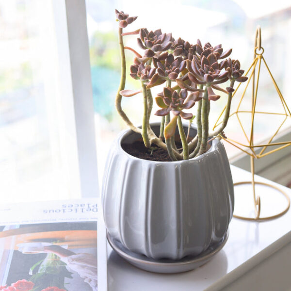 6 inch Grey Glazed Ceramic Contour Planter - Image 5