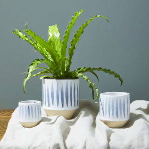 Brushstroke Pot